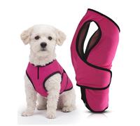 Lautus Pets Small Dog Cooling Vest - Easy On/Off Cooling Coat with Double Quick-Adjust Strap & Zip Neck, Lightweight & Portable Cooling Jacket for Dogs, Perfect for Dog Owners, Walkers & Sitters