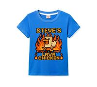 Lava Chicken Girls Boys T-Shirts Kids Cotton Tee for 3-13 Years (Navy Blue,12 Years)