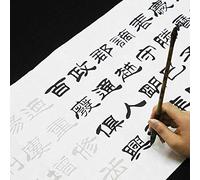 LAVAMI Chinese Calligraphy Copybooks,Chinese Brush Calligraphy Practice Copybook Rice Paper Adults Beginner Liu Bingsen Script