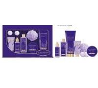 Lavender 8PCS Women's Set