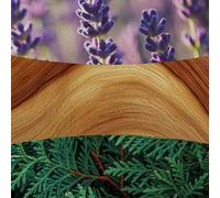 Lavender and Cedar