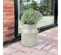 Lavender Augustifolia In Milk Churn Planter Beautiful Aromatic Plants Garden Plant