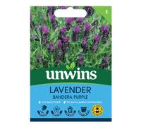 Lavender Bandera Deep Purple