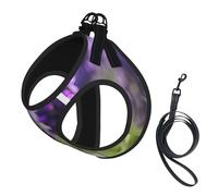 Lavender Colored Flowers print Dog Harness and Leash Set, Reflective Adjustable Puppy Vest for Small Medium Large Dogs, Cats