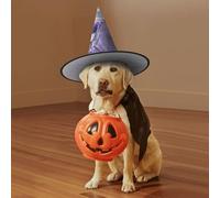 Lavender Field Bike Printing Halloween Witch Costume Accessory Pointed Cap Witch Hat Foldable Halloween Hats 1 Pieces