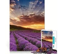 Lavender Field with Sunset Jigsaw Puzzle for Adults 1000 Pieces Mind Exercise Anxiety Relief Family Play Birthday Surprise (38x52cm)