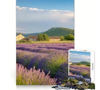Lavender Fields 1000 Piece Jigsaw Puzzles- Enjoyable Game Bright Color Family Enjoyable Perfect Art (50x75cm)