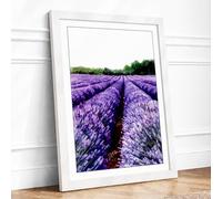 Lavender Fields at Horizon Landscape Framed Wall Art Print A2 (59.4×42cm) White, Wall Decor for Living Room, Bedroom, Office & Home, Ready to Hang, Art Gift