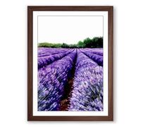 Lavender Fields at Horizon Landscape Framed Wall Art Print A3 (42×29.7cm) Walnut, Wall Decor for Living Room, Bedroom, Office & Home, Ready to Hang, Art Gift