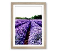 Lavender Fields at Horizon Landscape Framed Wall Art Print A4 (29.7×21cm) Oak, Wall Decor for Living Room, Bedroom, Office & Home, Ready to Hang, Art Gift