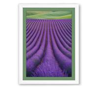 Lavender Fields at Peace Botanical Framed Wall Art Print A1 (84.1×59.4cm) White, Wall Decor for Living Room, Bedroom, Office & Home, Ready to Hang, Art Gift