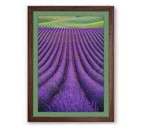 Lavender Fields at Peace Botanical Framed Wall Art Print A2 (59.4×42cm) Walnut, Wall Decor for Living Room, Bedroom, Office & Home, Ready to Hang, Art Gift