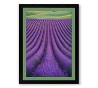 Lavender Fields at Peace Botanical Framed Wall Art Print A3 (42×29.7cm) Black, Wall Decor for Living Room, Bedroom, Office & Home, Ready to Hang, Art Gift
