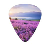 lavender fields print Celluloid Guitar Plectrums for Acoustic Guitar Bass,Guitar Picks with Organizer Box