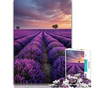 Lavender Garden Adult Jigsaws 1000 Pieces Difficult,Learning Educational Toys Family Games Gifts for Friends And Family 75x50cm