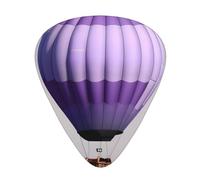 Lavender Hot Air Balloon print Celluloid Guitar Plectrums for Acoustic Guitar Bass,Guitar Picks with Organizer Box