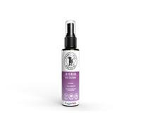 (Lavender) HugglePets Bubbly Tails Dog Cologne