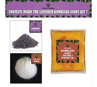 Lavender Kombucha Starter Tea flavour make 10 litre of probioticKit for Beginners CultureTHICK SCOBY 100% Natural No Preservative Keto-Friendly Low Sugar Vegan, Gluten-Free