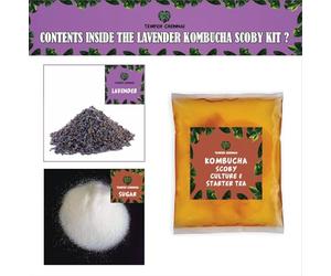 Lavender Kombucha Starter Tea flavour make 10 litre of probioticKit for Beginners CultureTHICK SCOBY 100% Natural No Preservative Keto-Friendly Low Sugar Vegan, Gluten-Free