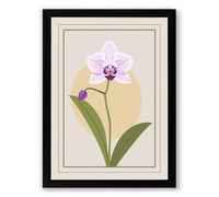 Lavender Orchid Study Botanical Framed Wall Art Print A1 (84.1×59.4cm) Black, Wall Decor for Living Room, Bedroom, Office & Home, Ready to Hang, Art Gift