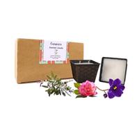 Lavender Sage Scented Candles Set of 2,Large Candle Buckets with 2 Wicks,Rose Aromatherapy Candles for Festival,White Sage Candles for Cleansing Healing Gift,Long Lasting Candle for Backyard Patio