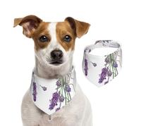Lavenders On Vintage Colorful Provence,Pet Bib Scarf Cats Dog Bandana Dogs Towel Bib Adjustable Pet Scarf,L