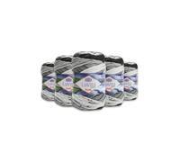 LaVita Yarn Batik Hand Knitting Yarn, Wool, 5-Piece Pack, 100% Micro Acrylic Sports Yarn, 1 Ball 100 g, 170 m (DG11)