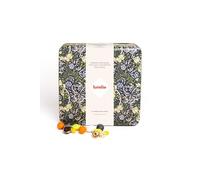 Lavolio Nutty Forest 250g Luxury Chocolate Gift Box - Toasted Almond, Hazelnut And Pistachio Dragées With Dark, White And Gianduia Chocolate In Decorative Keepsake Tin (Nutty Forest)
