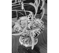 Law of necessity: Bilingual edition of Hindi and English