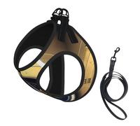 Law of the Compass Navigation Print Step in Dog Harness and Leash Set,Adjustable Reflective Harness for Small Dogs Cats