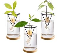 Lawei 3 Pack Avocado Tree Growing Kits, Glass Avocado Seed Starter Vase with Metal Triangle Bracket and Bamboo Base, Avocado Pit Sprouting Plant Pot Glass Bottle for Gardening Lovers Home Decor