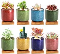 Lawei 8 Pack 6.4cm Ceramic Ice Crack Succulent Plant Pot with Bamboo Tray - Cactus Plant Pot Flower Pot Container Planter for Home Garden Office Decoration(Plants NOT Included)