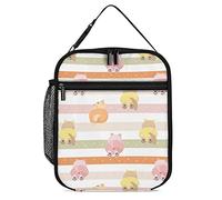 Lawenp Insulated Lunch Box Cute Cat Butts Reusable Portable Lunch Bag with Side Pocket, Rainbow Stripes Small Thermal Meal Cooler Bag Tote for Work Office