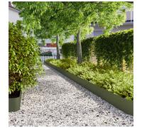 Lawn edging 10 pcs Olive Green 20x103cm Stainless Steel Flexible Garden Borders