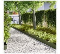 Lawn Edging 10 pcs Olive Green 100 x 0.05 x 20 cm