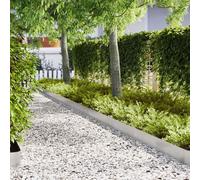 Lawn Edging Black Stainless Steel 100 x 0.5 x 15 cm Outdoor Garden Border 10pcs