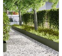 Lawn Edging Olive Green Cold Rolled Steel 100 x 0.05 x 30 cm Weatherproof and Rustproof for Garden, Patio, Flower Bed Edging, Mowing Edge, Path Boundary, Flexible Palisade, Pack of 50