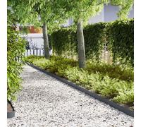 Lawn Edging Pack of 10 Anthracite Cold Rolled Steel 100 x 0.05 x 15 cm Garden Flower Bed Edging Mowing Edge Flower Bed Border Path Boundary Palisade Borders for Patio Lawn Separation