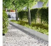 vidaXL Lawn Edging 10 pcs Silver 100 x 0.05 x 30 cm Stainless Steel