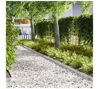 Lawn Edging 30 pcs Silver 100 x 0.05 x 15 cm Stainless Steel
