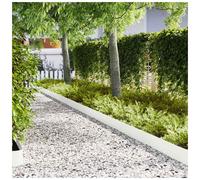 Lawn Edging White Cold Rolled Steel 100x20cm 50pcs Heavy Duty Outdoor Border Set