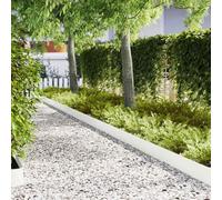 Lawn Edging White Pack of 20 100 x 0.05 x 20 cm Cold Rolled Steel Flexible and Weatherproof for Flower Bed Border, Lawn Edging, Path Boundary in the Garden and Patio