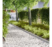 Lawn Edgings 20 pcs 100x0.5x15 cm Galvanised Steel Berkfield Home Silver One Size