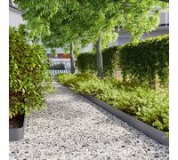 Lawn Edgings 50 pcs Anthracite 15x103 cm Cold-rolled Steel