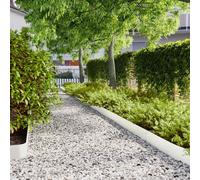 Lawn Edgings 50 pcs White 15x103 cm Cold-rolled Steel