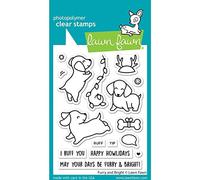 Lawn Fawn Clear Stamps 3"X4"-Furry & Bright