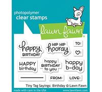 Lawn Fawn Tiny Tag Sayings: Birthday 2X3 Clear Stamp