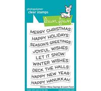 Lawn Fawn Winter Wavy Sayings 3X4 Clear Stamp Set