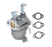 Lawn Mower Carburetor with Gasket, Replacement Carburetor for 715473 138432 138437 138462, Aluminum for Lawn Mower, to Inl and Service