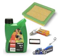Lawn Mower Service Kit inc Air Filter & Plug Compatible with Hyundai HYM430SP HYM460SP